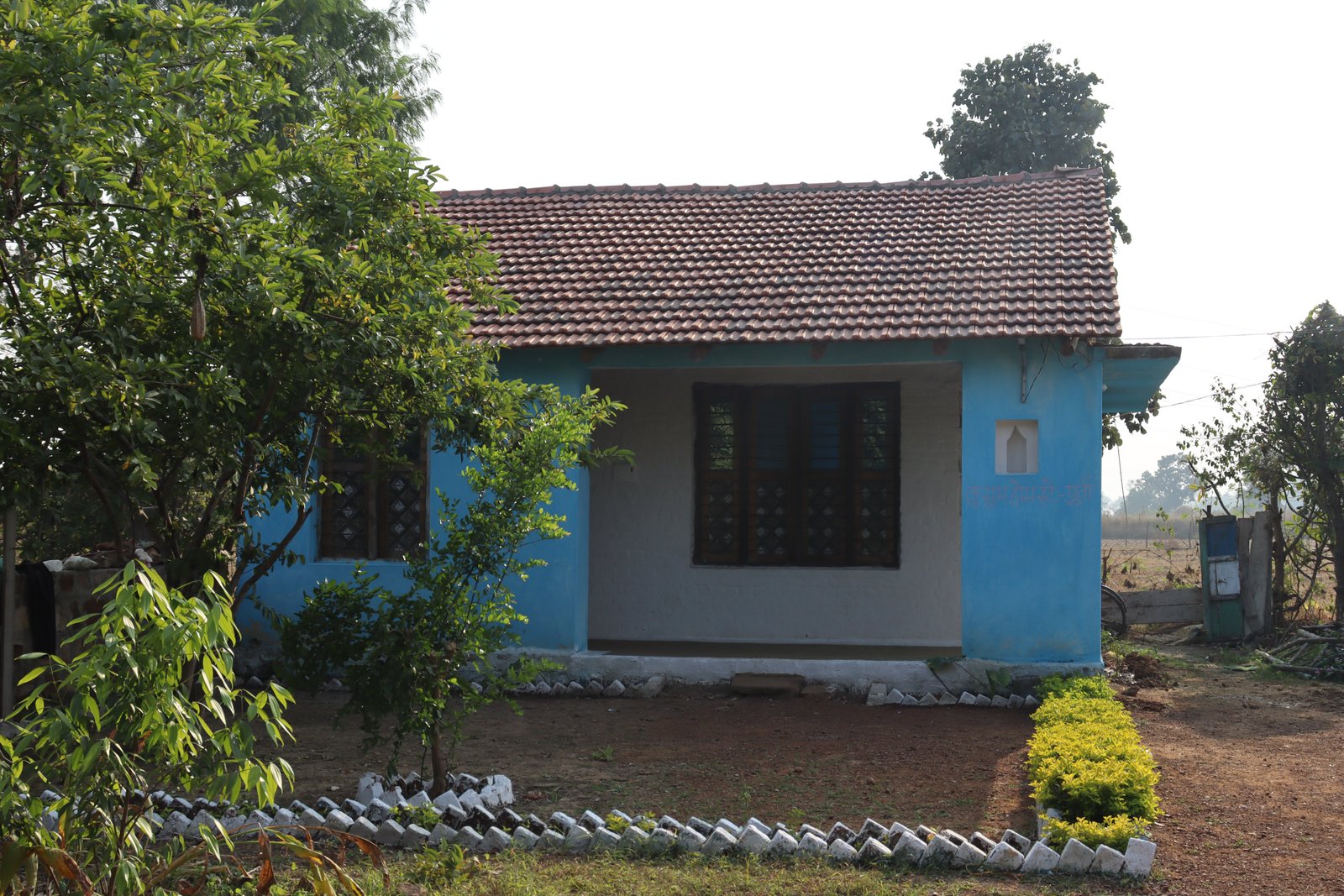 blog image