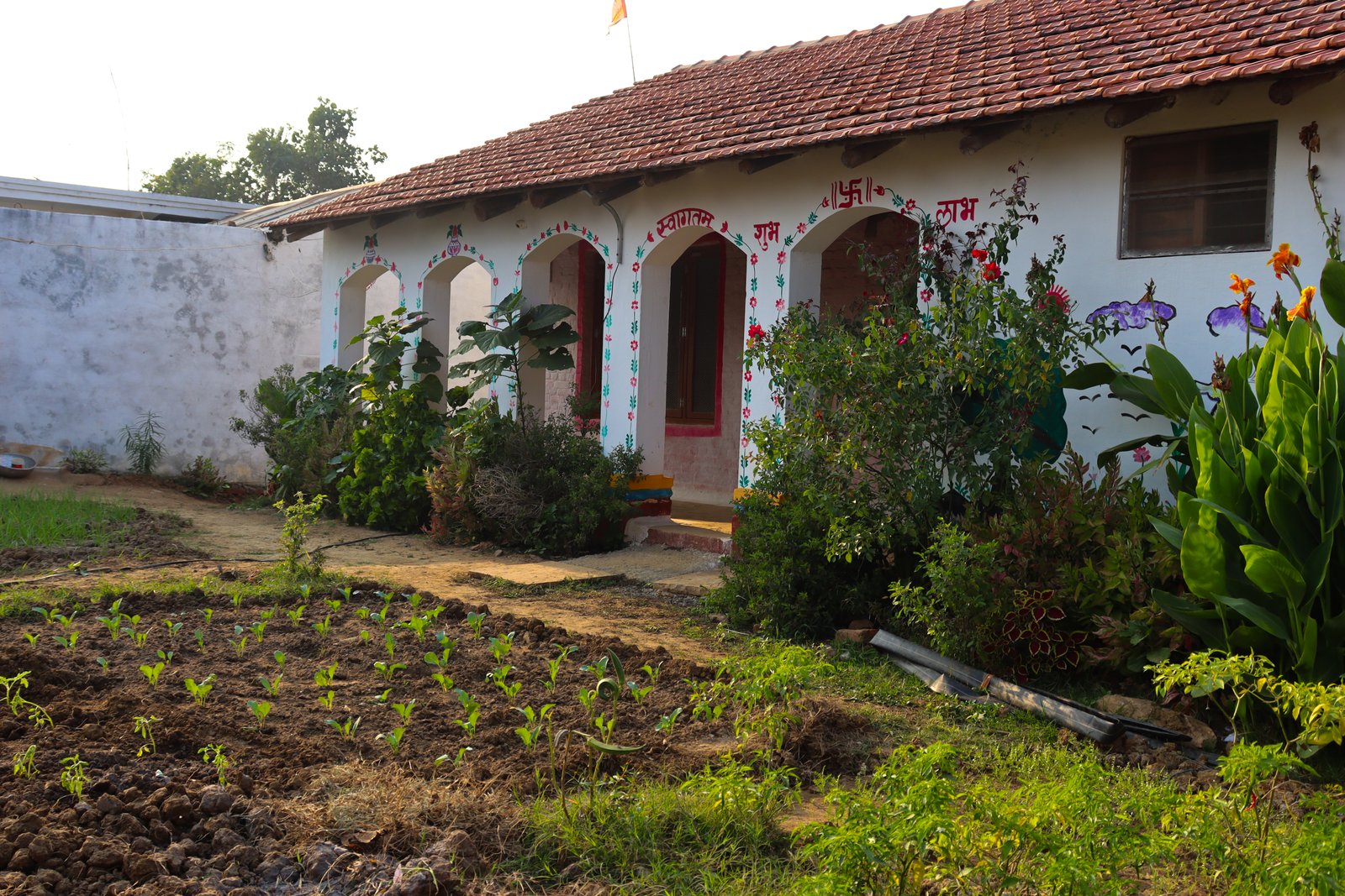 blog image